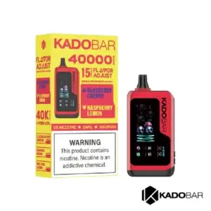 Kado Bar x Adjust Blueberry Cherry + Raspberry Lemon NI40K Ice + Nic Control Disposable Vape